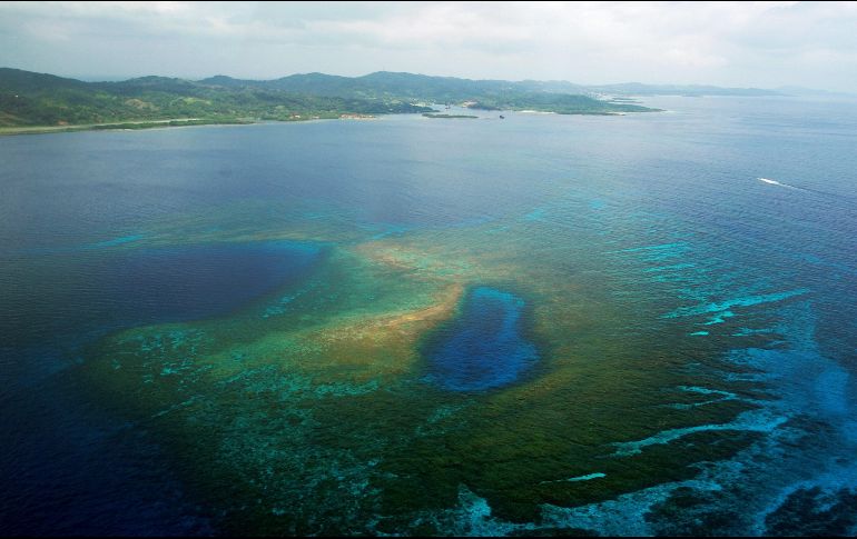 Con la firma de dicho acuerdo se protegerá al 30% de la totalidad de los océanos. EFE/ARCHIVO