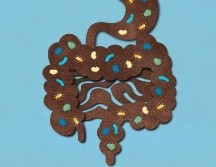 La microbiota intestinal está compuesta por billones de bacterias y otros organismos microscópicos. GETTY IMAGES