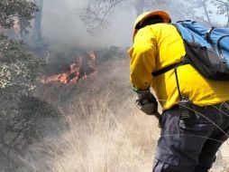Tan sólo este lunes, brigadistas han enfrentado dos incendios en La Primavera. ESPECIAL