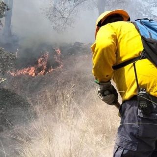 Combaten dos incendios en el Bosque de La Primavera