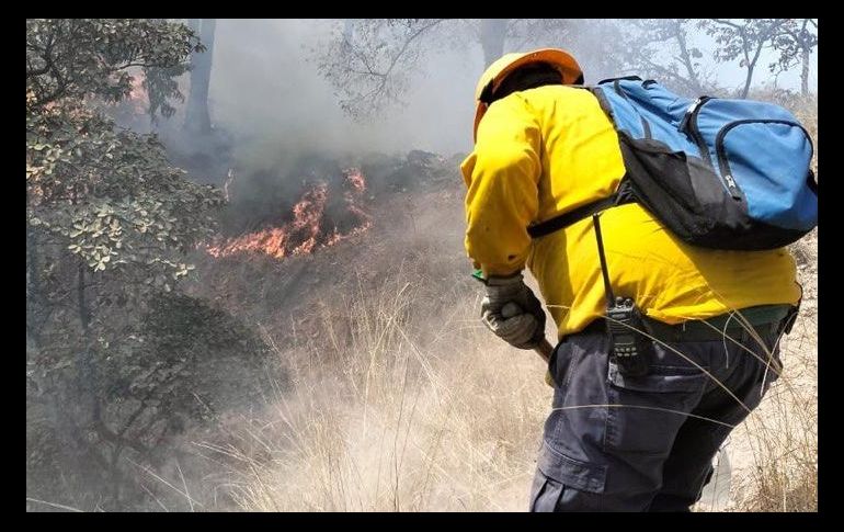 Tan sólo este lunes, brigadistas han enfrentado dos incendios en La Primavera. ESPECIAL