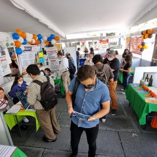 Destaca Jalisco en generación de empleos formales