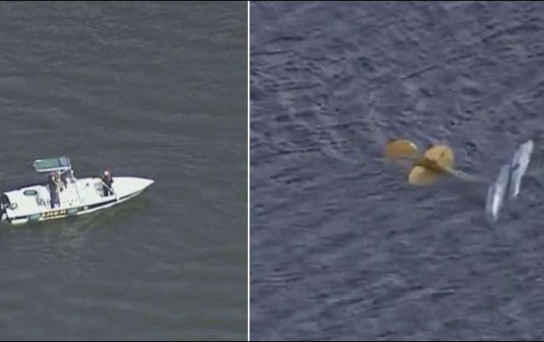 Aún se ignoran las causas del accidente y buscan más cuerpos. ESPECIAL