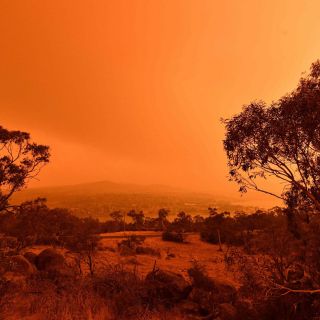 ¡Terrible! Así daña el humo de incendios forestales en la capa de ozono