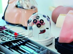 La Unesco indica que las brechas de género limitan las posibilidades de innovaciones y nuevas perspectivas. SUN / ARCHIVO