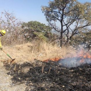 Se registran tres incendios forestales en Jalisco