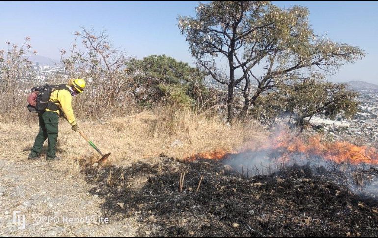 El incendio en el Cerro del Colli fue declarado como controlado. ESPECIAL