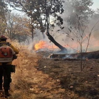 Se registran tres incendios forestales más; uno en La Primavera