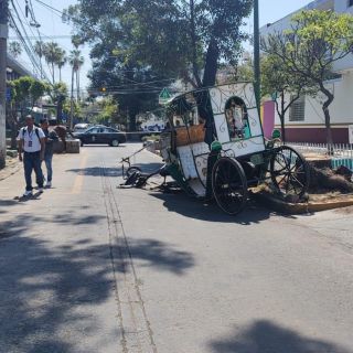 ¡No puede ser! Calandria se vuelca en Colonia Americana, pasajera resulta herida