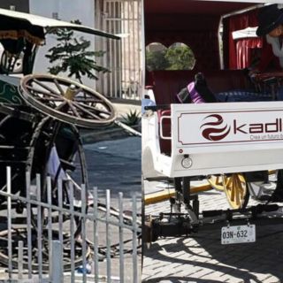 Tras accidente, Pablo Lemus retoma proyecto de eliminar calandrias con caballos