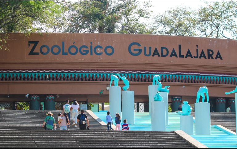 El Zoológico Guadalajara ayuda a la sensibilización de la sociedad sobre la importancia de proteger a los animales. EL INFORMADOR/A. Navarro