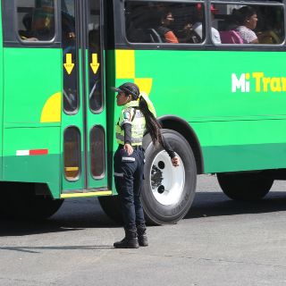 Por dos carreras en la ZMG, más de 30 rutas detendrán su derrotero el domingo