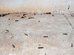 La madrugada de este viernes se reportó un enfrentamiento entre presuntos miembros de la delincuencia, en los cruces carreteros entre Teocaltiche y Nochistlán, en los límites con Zacateca: AFP / ARCHIVO