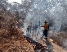 Se desplegaron cerca de 40 combatientes en el bosque El Nixticuil. ESPECIAL