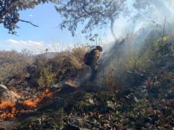 Este año suman 203 incendios forestales en Jalisco. ESPECIAL