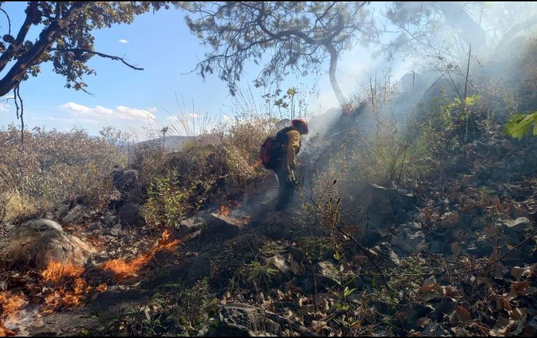 Este año suman 203 incendios forestales en Jalisco. ESPECIAL