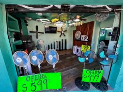 Hay ventiladores para todos los presupuestos. EL INFORMADOR/ARTURO NAVARRO