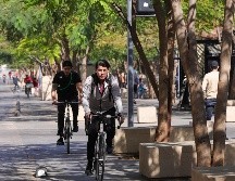 En el Paseo Fray Antonio Alcalde han plantado más de 300 árboles en el último año. ELINFROMADOR/ CARLOS ZEPEDA