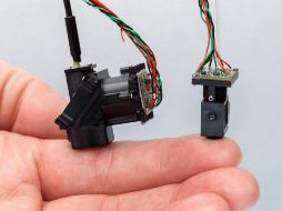 Investigadores desarrollaron dos microscopios portátiles para observar regiones antes inaccesibles de la médula espinal de ratones. EFE / Instituto Salk