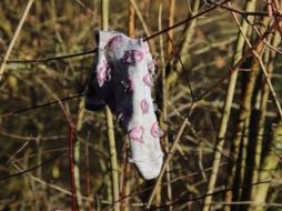 Desde ayer no se sabe nada de los cuatro adolescentes. SUN