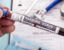 El virus proveniente del murciélago puede ser altamente letal si la persona infectada no cuenta con tratamiento médico. ESPECIAL