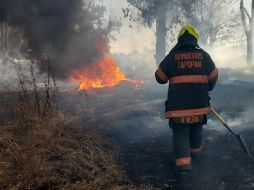 El incendio se registró en un predio cercano al CUCEA. ESPECIAL
