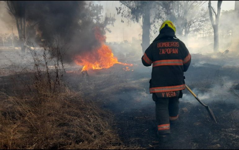 El incendio se registró en un predio cercano al CUCEA. ESPECIAL