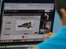 Las normas no entrarán en vigor hasta marzo de 2024. ESPECIAL