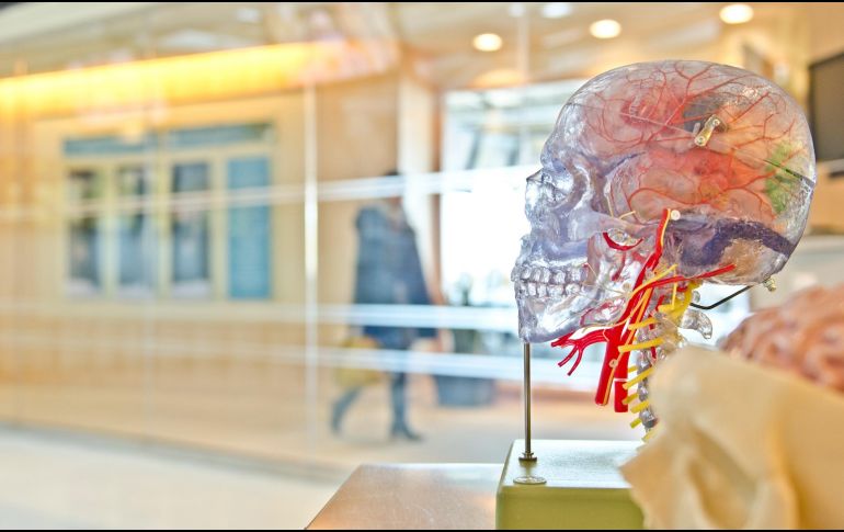 Para un epiléptico, tomar su medicamento adecuado, alimentarse sanamente y saber interpretar las señales que manda su cuerpo es esencial. ESPECIAL/Foto de jesse orrico en Unsplash