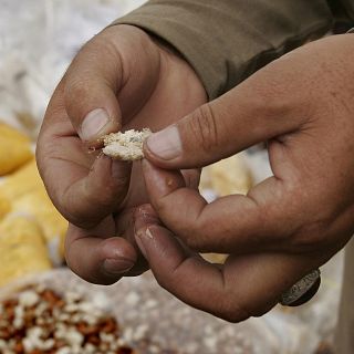 ¿Lo sabías? este es el alimento que podría revertir la prediabetes