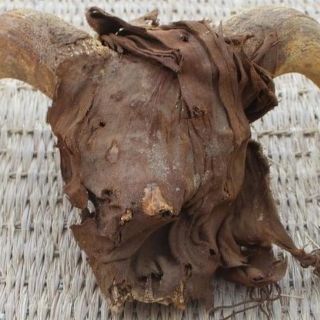 El misterio de los 2 mil cráneos momificados en la tumba de Ramsés II