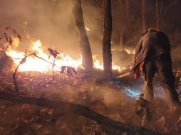 Elementos de la Semadet se encuentran realizando las labores en el paraje El Poleo. ESPECIAL/SEMADET