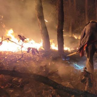 Combaten incendio forestal en paraje dentro del Bosque La Primavera