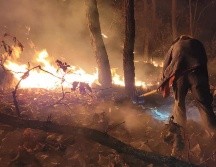 Elementos de la Semadet se encuentran realizando las labores en el paraje El Poleo. ESPECIAL/SEMADET
