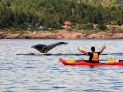Durante esta temporada en Quebec, podrás vivir las cuatro estaciones en un solo día. CORTESÍA/ Alchemia
