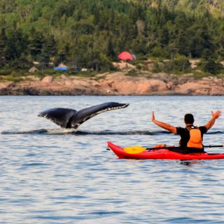 Quebec: Cinco actividades imperdibles en primavera