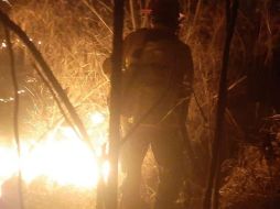 El incendio forestal se registra en el paraje Bugambilias - La Capilla, dentro de la Zona de Recuperación Ambiental Cerro El Tajo en Zapopan. ESPECIAL