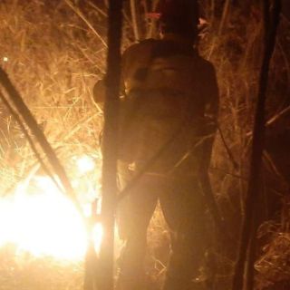 Combaten incendio forestal cerca de Santa Ana Tepatitlán y Bugambilias
