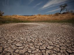 La sequía de los meses venideros preocupa a las autoridades de Ciudad de México y sus alcaldías. EL INFORMADOR/ARCHIVO