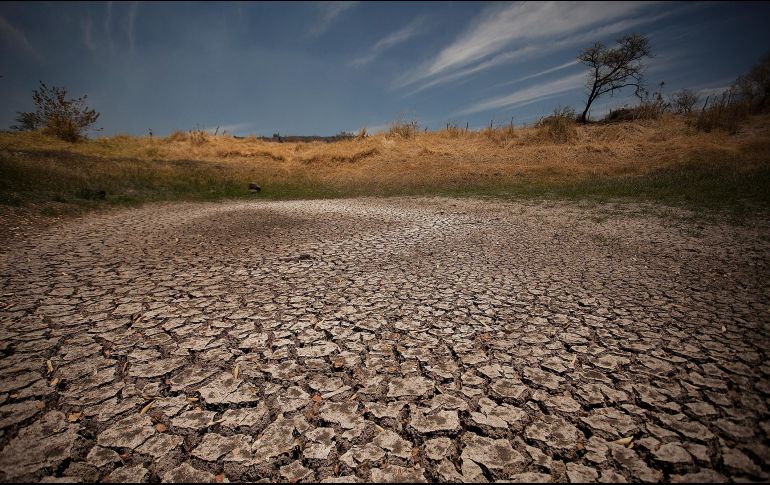 La sequía de los meses venideros preocupa a las autoridades de Ciudad de México y sus alcaldías. EL INFORMADOR/ARCHIVO