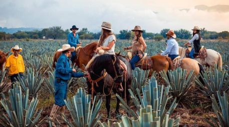 La Ruta del Tequila nació en abril del 2006 y está integrada por 8 municipios de Jalisco. ESPECIAL