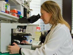 La investigación científica permite que los tratamientos oncológicos sean cada vez más personalizados. ESPECIAL / UNSPLASH