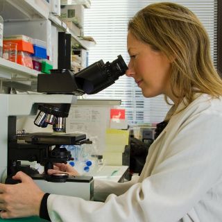 Nuevo fármaco evita efectos secundarios de quimioterapia en cáncer de colon