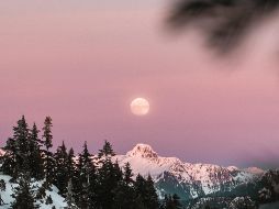 El evento podrá ser visible a simple vista este 6 de abril, siempre y cuando el cielo esté despejado. ESPECIAL/Foto de Yann Allegre en Unsplash