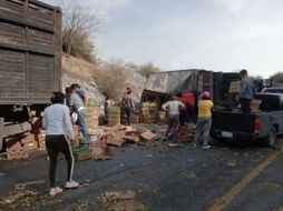 En unos minutos se llevaron toneladas de aguacate. SUN