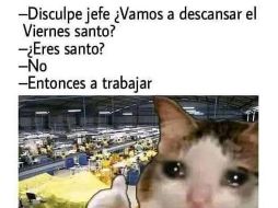 Los usuarios de redes sociales no se han hecho esperar y han desatado su creatividad. ESPECIAL