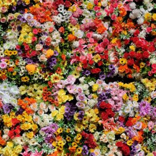 Las películas más "florales" en el cine