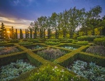 Napa Valley, California. CORTESÍA/ The Brand USA