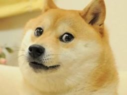 El cambio del logo en Twitter generó un notable aumento en el precio de la criptomoneda Dogecoin. ESPECIAL