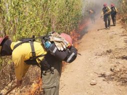 Fue llevado ante el MP el hombre acusado de prenderle fuego al Cerro Viejo. ESPECIAL